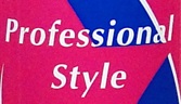 Professional Style