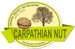CARPATHIAN NUT